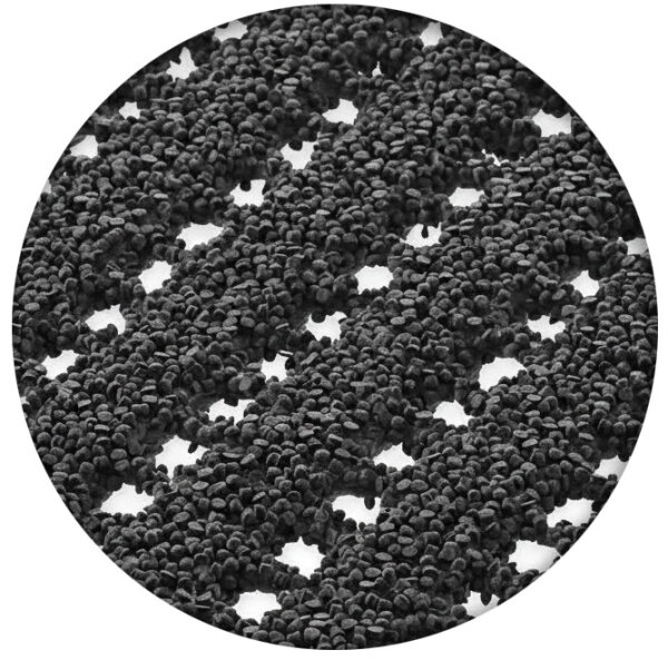 Basalt